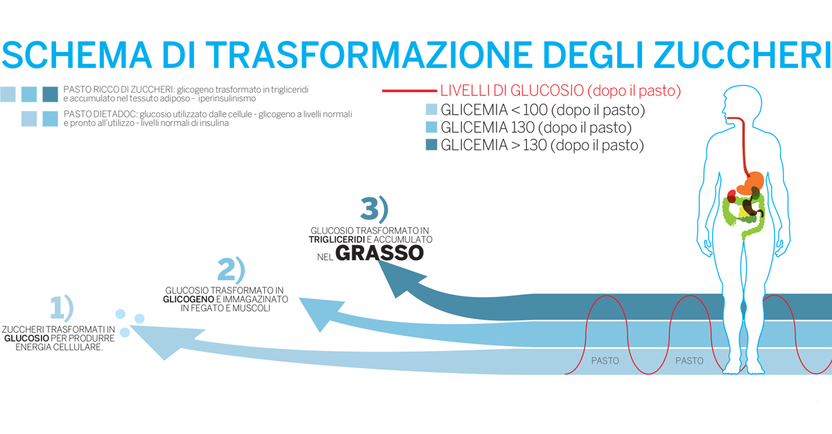 Scopri Un Aiuto Per Eliminare Il Grasso Corporeo