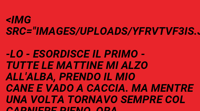 Il Mio Cane Zoppica Ma Non Si Lamenta