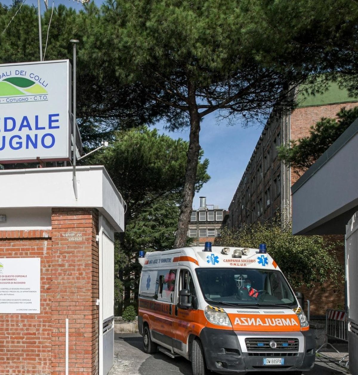 epatite a napoli allarme