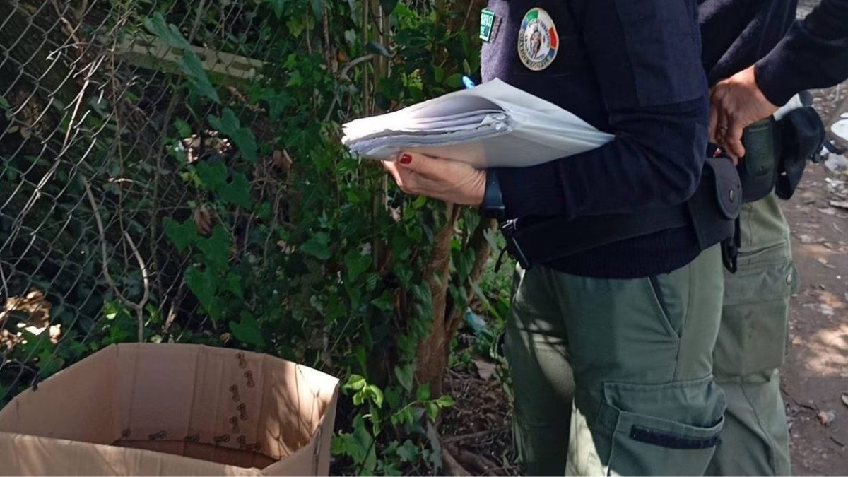 Orrore in Italia, due cani trovati morti così: “Lasciati lì”