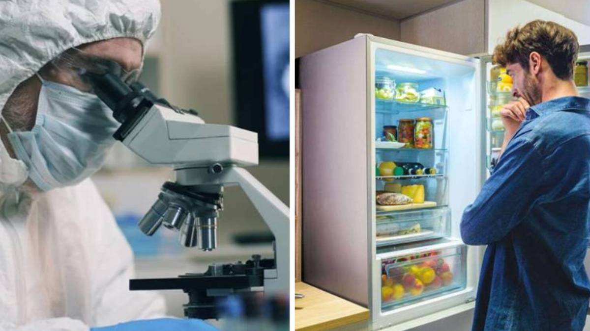 Scoperta incredibile: un alimento di uso quotidiano che favorisce la crescita dei tumori