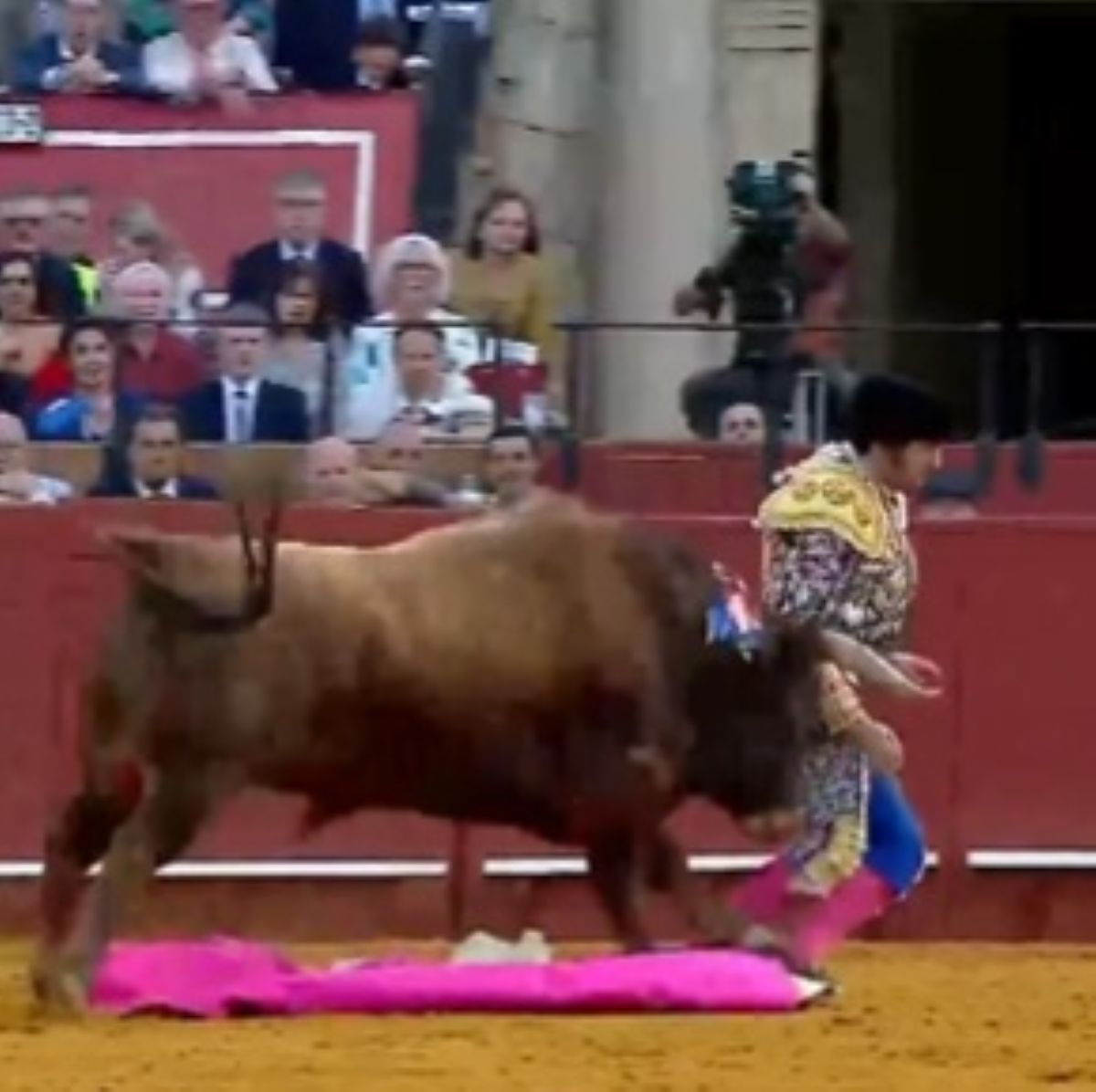 torero incornato gravissimo