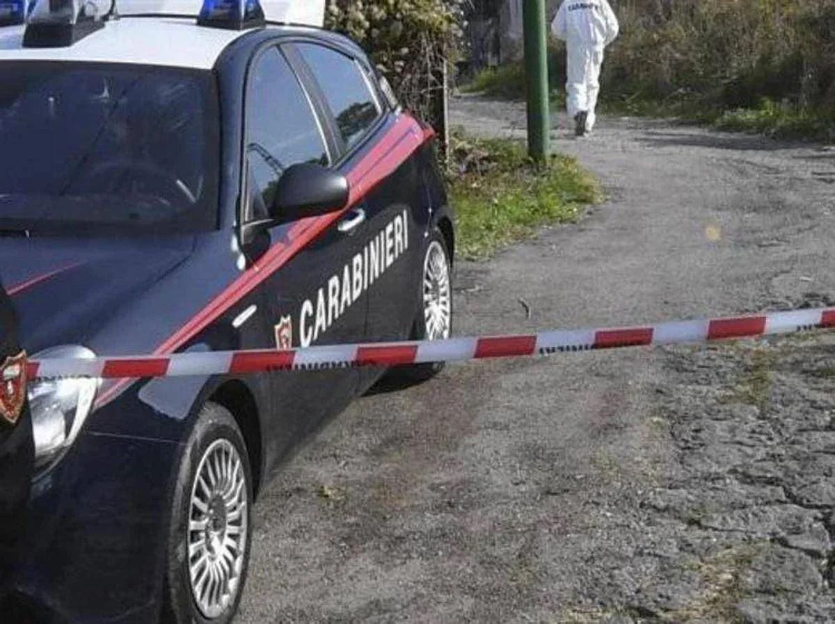 Scene dell'intervento dei carabinieri