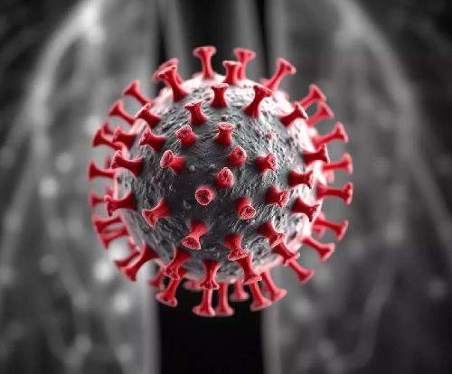 Virus Hmpv, impatto in Italia